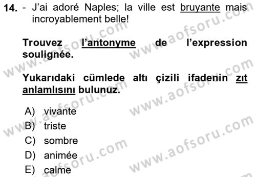 Fransızca 2 Dersi 2018 - 2019 Yılı 3 Ders Sınavı 14. Soru