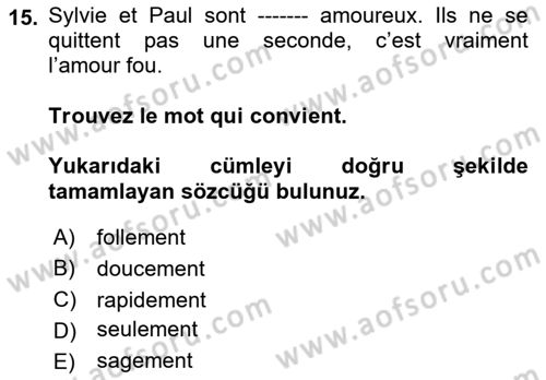 Fransızca 2 Dersi 2018 - 2019 Yılı 3 Ders Sınavı 15. Soru