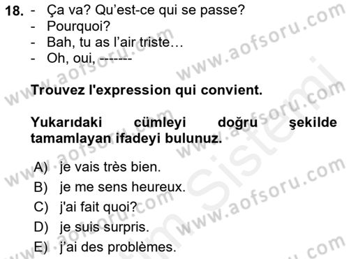Fransızca 2 Dersi 2018 - 2019 Yılı (Vize) Ara Sınavı 18. Soru