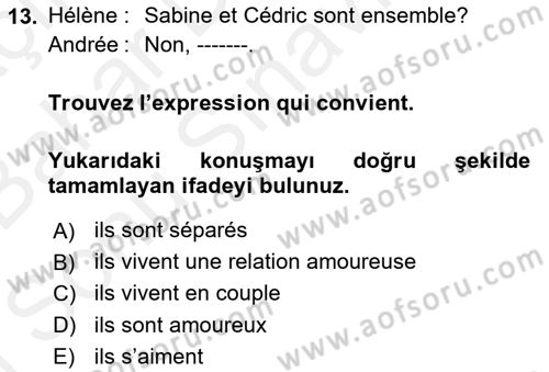 Fransızca 2 Dersi 2018 - 2019 Yılı (Final) Dönem Sonu Sınav Soruları 13. Soru