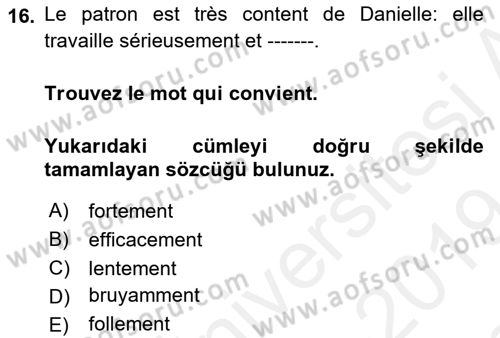 Fransızca 2 Dersi 2018 - 2019 Yılı (Final) Dönem Sonu Sınav Soruları 16. Soru