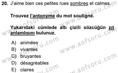 Fransızca 2 Dersi 2018 - 2019 Yılı (Final) Dönem Sonu Sınav Soruları 20. Soru