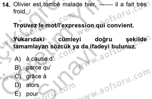 Fransızca 2 Dersi 2018 - 2019 Yılı Yaz Okulu Sınav Soruları 14. Soru