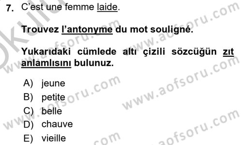 Fransızca 2 Dersi 2018 - 2019 Yılı Yaz Okulu Sınav Soruları 7. Soru