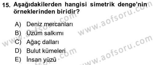 Temel Sanat ve Tasarım Eğitimi Dersi 2021 - 2022 Yılı (Final) Dönem Sonu Sınav Soruları 15. Soru