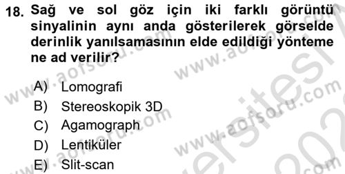 Temel Sanat ve Tasarım Eğitimi Dersi 2021 - 2022 Yılı (Final) Dönem Sonu Sınav Soruları 18. Soru