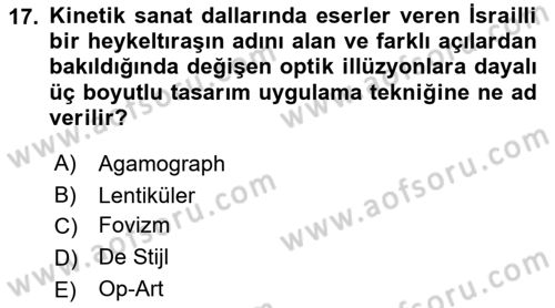 Temel Sanat ve Tasarım Eğitimi Dersi 2022 - 2023 Yılı (Final) Dönem Sonu Sınav Soruları 17. Soru