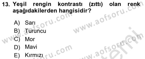 Temel Sanat ve Tasarım Eğitimi Dersi 2023 - 2024 Yılı Yaz Okulu Sınav Soruları 13. Soru