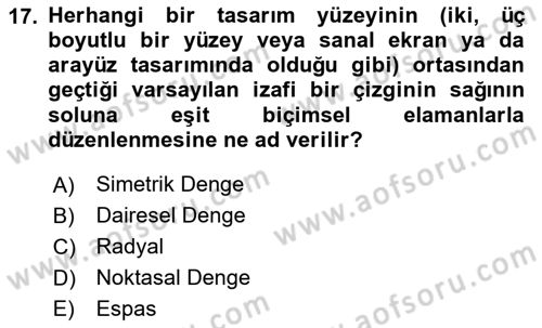 Temel Sanat ve Tasarım Eğitimi Dersi 2023 - 2024 Yılı Yaz Okulu Sınav Soruları 17. Soru