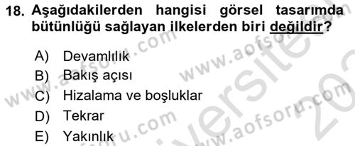 Temel Sanat ve Tasarım Eğitimi Dersi 2023 - 2024 Yılı Yaz Okulu Sınav Soruları 18. Soru