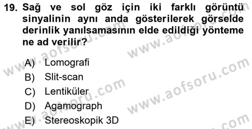 Temel Sanat ve Tasarım Eğitimi Dersi 2023 - 2024 Yılı Yaz Okulu Sınav Soruları 19. Soru