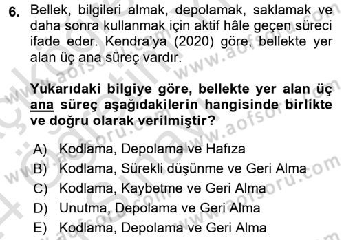 Temel Sanat ve Tasarım Eğitimi Dersi 2023 - 2024 Yılı Yaz Okulu Sınav Soruları 6. Soru