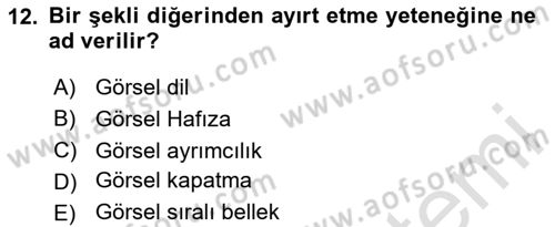 Temel Sanat ve Tasarım Eğitimi Dersi 2024 - 2025 Yılı (Vize) Ara Sınav Soruları 12. Soru