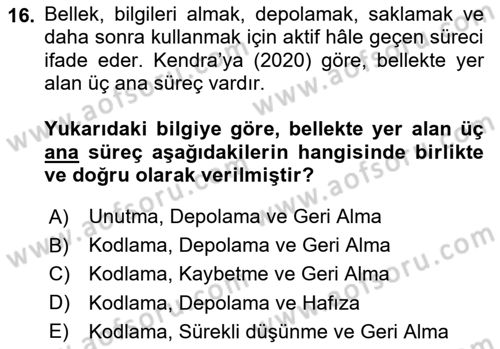 Temel Sanat ve Tasarım Eğitimi Dersi 2024 - 2025 Yılı (Vize) Ara Sınav Soruları 16. Soru
