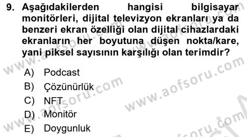 Temel Sanat ve Tasarım Eğitimi Dersi 2024 - 2025 Yılı (Vize) Ara Sınav Soruları 9. Soru