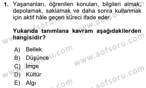 Temel Sanat ve Tasarım Eğitimi Dersi 2024 - 2025 Yılı (Final) Dönem Sonu Sınav Soruları 1. Soru