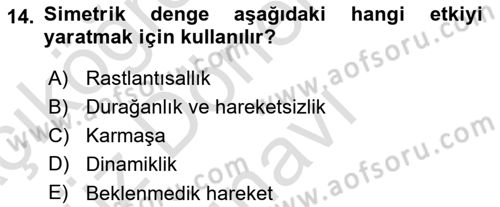 Temel Sanat ve Tasarım Eğitimi Dersi 2025 - 2026 Yılı (Final) Dönem Sonu Sınav Soruları 14. Soru