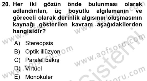 Temel Sanat ve Tasarım Eğitimi Dersi 2025 - 2026 Yılı (Final) Dönem Sonu Sınav Soruları 20. Soru