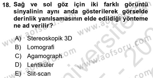 Temel Sanat ve Tasarım Eğitimi Dersi 2025 - 2026 Yılı Yaz Okulu Sınav Soruları 18. Soru