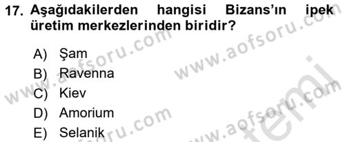 Anadolu Kültür Tarihi Dersi 2021 - 2022 Yılı (Final) Dönem Sonu Sınav Soruları 17. Soru