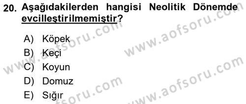 Anadolu Kültür Tarihi Dersi 2022 - 2023 Yılı Yaz Okulu Sınav Soruları 20. Soru