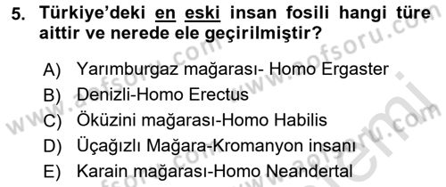 Anadolu Kültür Tarihi Dersi 2022 - 2023 Yılı Yaz Okulu Sınavı 5. Soru
