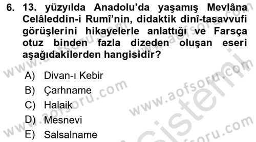 Anadolu Kültür Tarihi Dersi 2023 - 2024 Yılı (Final) Dönem Sonu Sınav Soruları 6. Soru