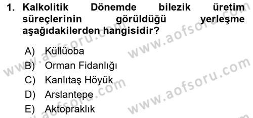 Anadolu Kültür Tarihi Dersi 2024 - 2025 Yılı (Vize) Ara Sınav Soruları 1. Soru