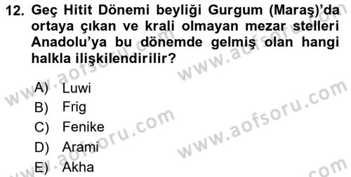Anadolu Kültür Tarihi Dersi 2024 - 2025 Yılı (Vize) Ara Sınav Soruları 12. Soru