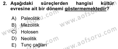 Anadolu Kültür Tarihi Dersi 2024 - 2025 Yılı (Vize) Ara Sınav Soruları 2. Soru