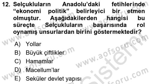 Anadolu Kültür Tarihi Dersi 2024 - 2025 Yılı (Final) Dönem Sonu Sınav Soruları 12. Soru