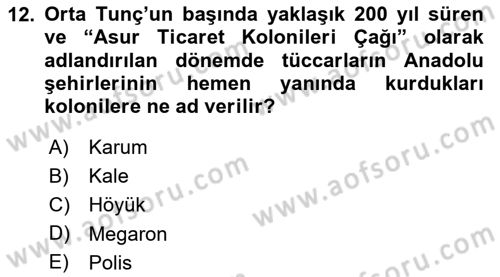 Anadolu Kültür Tarihi Dersi 2024 - 2025 Yılı Yaz Okulu Sınav Soruları 12. Soru