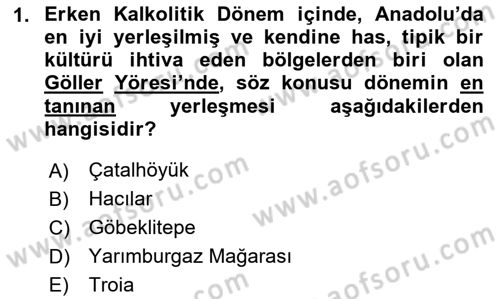 Anadolu Kültür Tarihi Dersi 2025 - 2026 Yılı (Vize) Ara Sınav Soruları 1. Soru