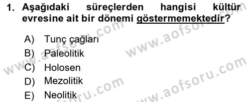 Anadolu Kültür Tarihi Dersi 2025 - 2026 Yılı Yaz Okulu Sınav Soruları 1. Soru