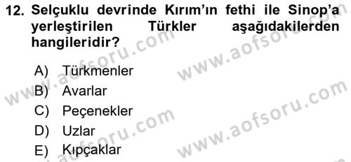 Anadolu Kültür Tarihi Dersi 2025 - 2026 Yılı Yaz Okulu Sınav Soruları 12. Soru