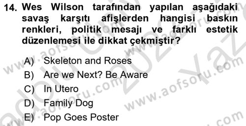 Görsel İletişim ve Tasarım Tarihi Dersi 2022 - 2023 Yılı Yaz Okulu Sınav Soruları 14. Soru