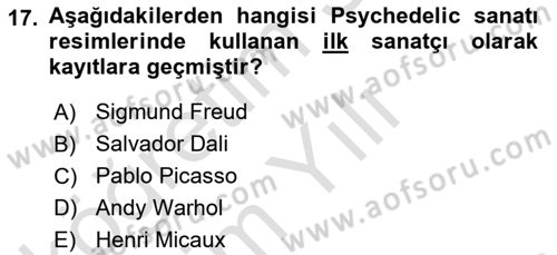 Görsel İletişim ve Tasarım Tarihi Dersi 2022 - 2023 Yılı Yaz Okulu Sınav Soruları 17. Soru