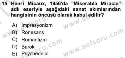 Görsel İletişim ve Tasarım Tarihi Dersi 2023 - 2024 Yılı (Final) Dönem Sonu Sınav Soruları 15. Soru