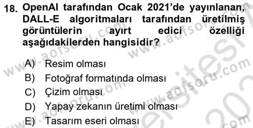 Dijital Kültür Dersi 2022 - 2023 Yılı Yaz Okulu Sınavı 18. Soru