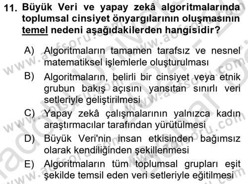 Dijital Kültür Dersi 2024 - 2025 Yılı (Vize) Ara Sınav Soruları 11. Soru