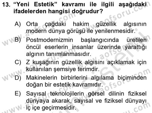 Dijital Kültür Dersi 2024 - 2025 Yılı (Vize) Ara Sınav Soruları 13. Soru