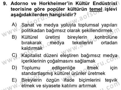 Dijital Kültür Dersi 2024 - 2025 Yılı (Vize) Ara Sınav Soruları 9. Soru