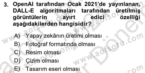 Dijital Kültür Dersi 2024 - 2025 Yılı (Final) Dönem Sonu Sınav Soruları 3. Soru