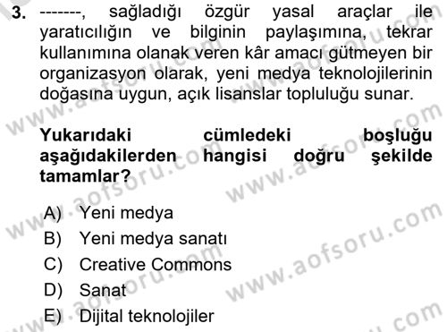 Dijital Kültür Dersi 2024 - 2025 Yılı Yaz Okulu Sınav Soruları 3. Soru