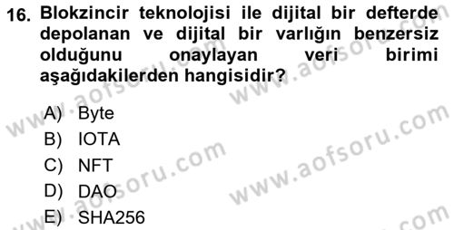 Dijital Kültür Dersi 2025 - 2026 Yılı (Vize) Ara Sınav Soruları 16. Soru