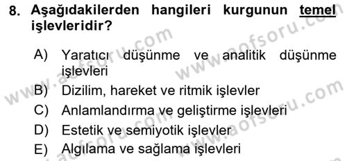Yeni Medya Sanatı Dersi Ara Sınavı Deneme Sınav Soruları 8. Soru