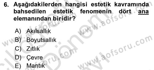 Yeni Medya Sanatı Dersi 2023 - 2024 Yılı (Final) Dönem Sonu Sınavı 6. Soru