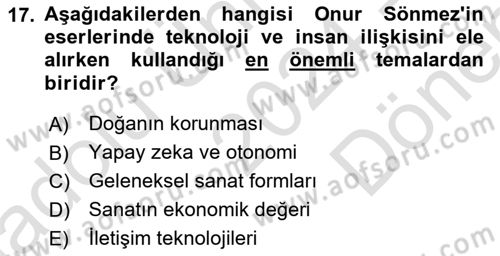 Yeni Medya Sanatı Dersi 2024 - 2025 Yılı (Final) Dönem Sonu Sınav Soruları 17. Soru