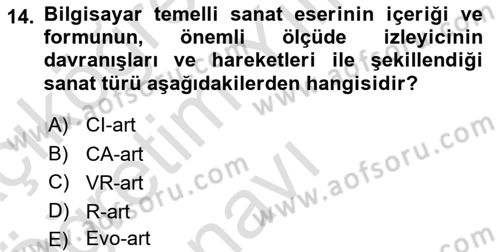 Yeni Medya Sanatı Dersi 2024 - 2025 Yılı Yaz Okulu Sınav Soruları 14. Soru