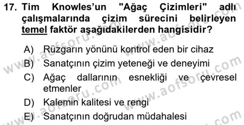 Yeni Medya Sanatı Dersi 2024 - 2025 Yılı Yaz Okulu Sınav Soruları 17. Soru